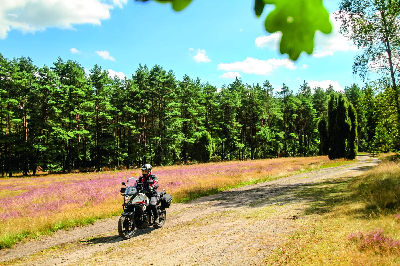 Motorrad auf einem breiten Sandweg zwischen Heideflächen Motorrad auf einem breiten Sandweg zwischen Heideflächen