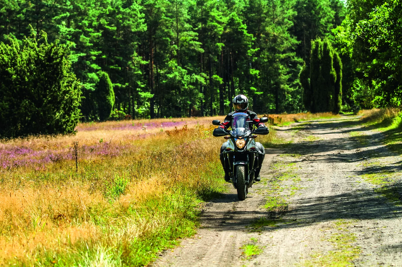 Motorrad auf einem sandigen Weg zwischen Wald und Heidefläche Motorrad auf einem sandigen Weg zwischen Wald und Heidefläche