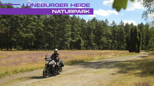 Naturpark Lüneburger Heide