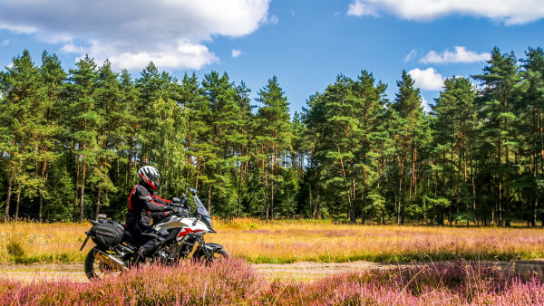 Singleroads in der Lüneburger Heide